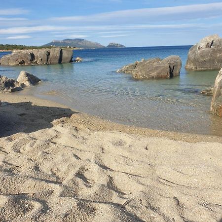 Home On Sardinia Beach Όλμπια Εξωτερικό φωτογραφία