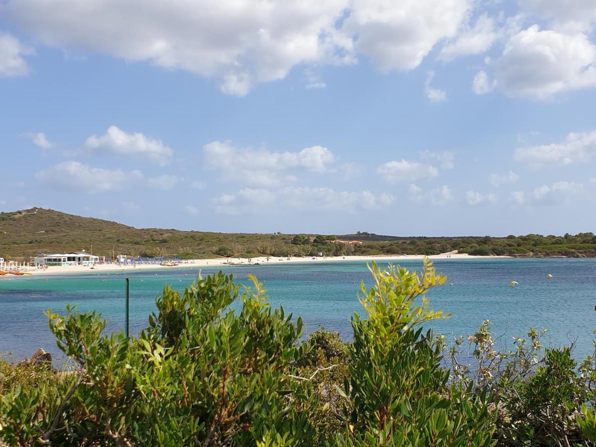 Home On Sardinia Beach Όλμπια Εξωτερικό φωτογραφία