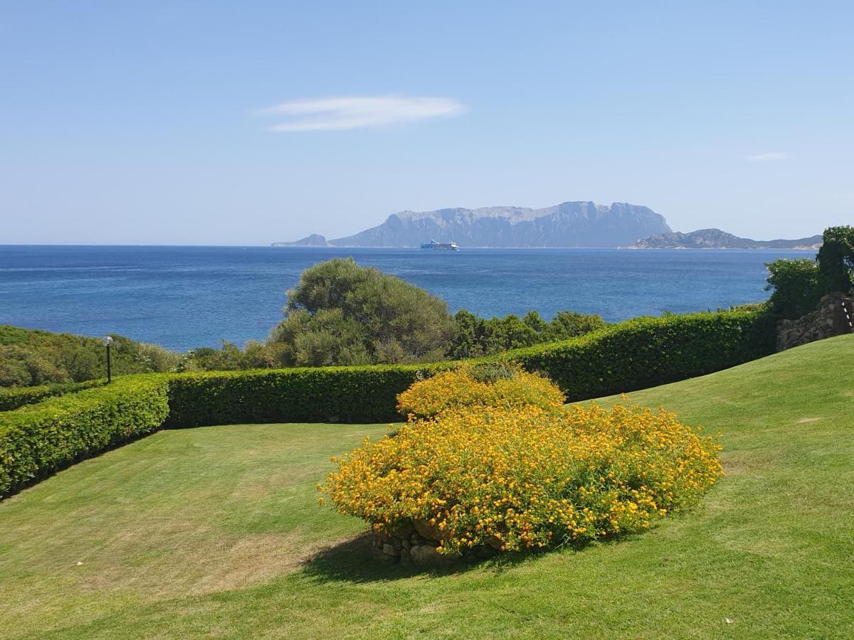 Home On Sardinia Beach Όλμπια Εξωτερικό φωτογραφία
