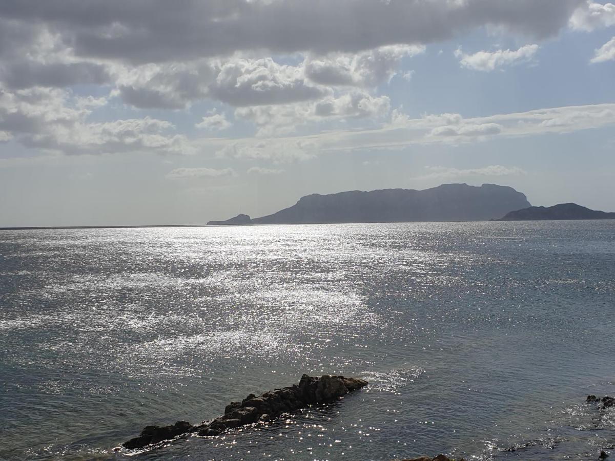 Home On Sardinia Beach Όλμπια Εξωτερικό φωτογραφία