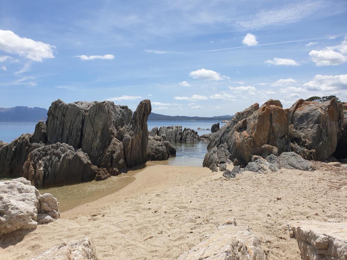Home On Sardinia Beach Όλμπια Εξωτερικό φωτογραφία