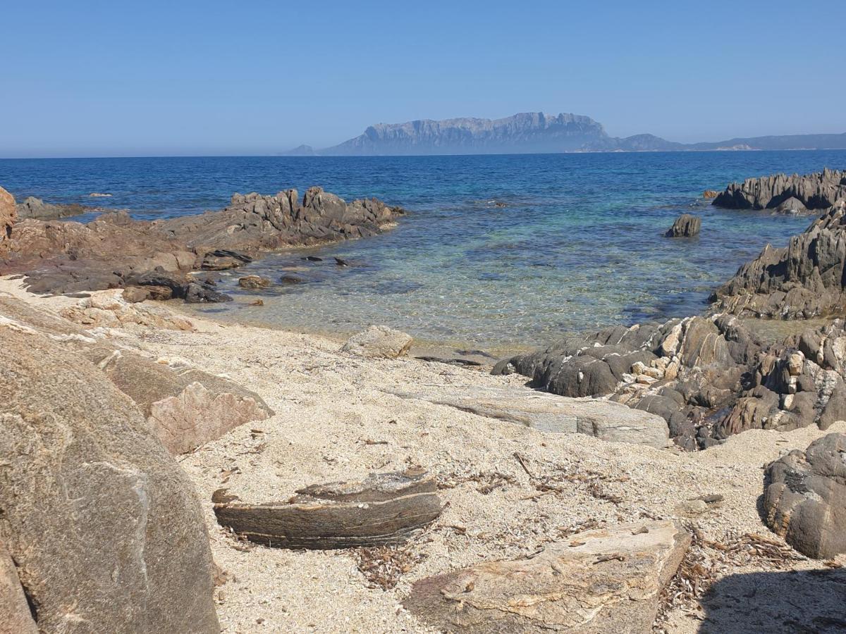 Home On Sardinia Beach Όλμπια Εξωτερικό φωτογραφία