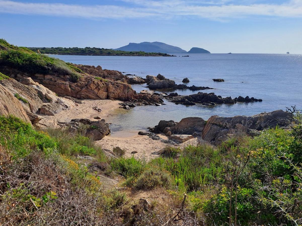 Home On Sardinia Beach Όλμπια Εξωτερικό φωτογραφία