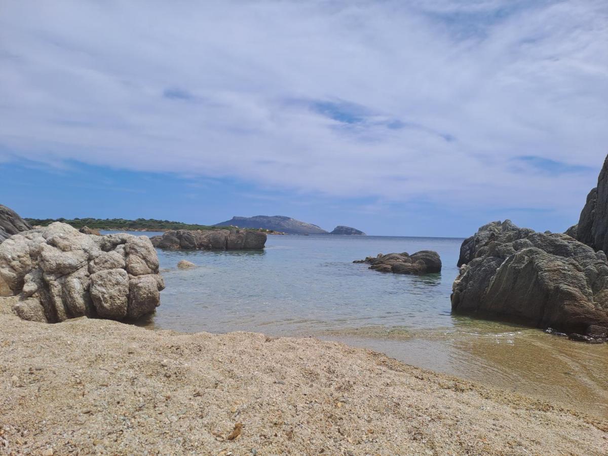 Home On Sardinia Beach Όλμπια Εξωτερικό φωτογραφία