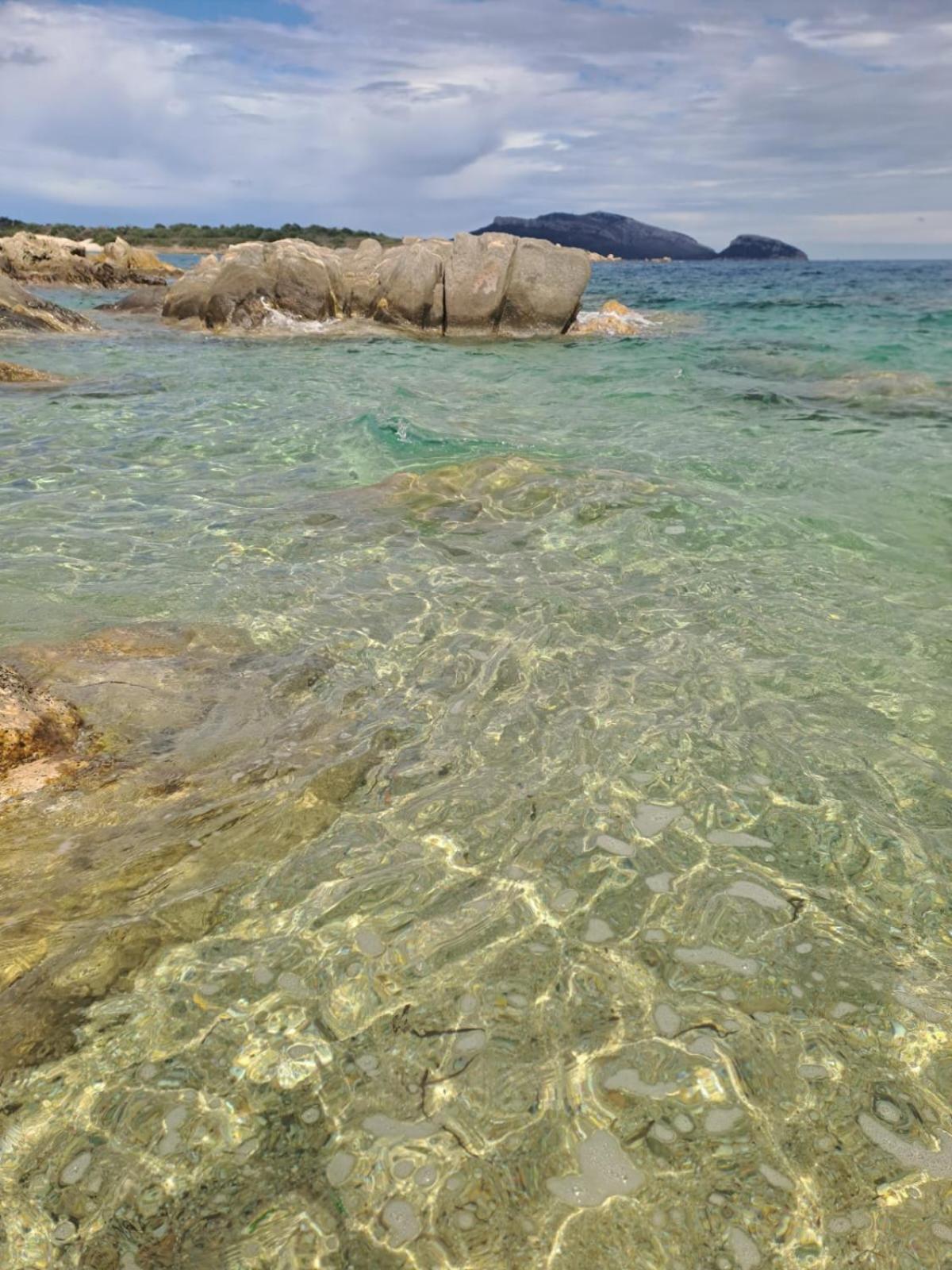 Home On Sardinia Beach Όλμπια Εξωτερικό φωτογραφία